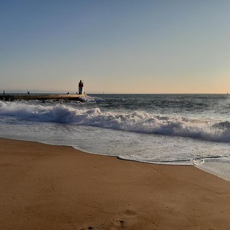Joli 2 Pieces Sur Le Port Avec Piscine, Terrasse, Parking Lejlighed Capbreton Eksteriør billede