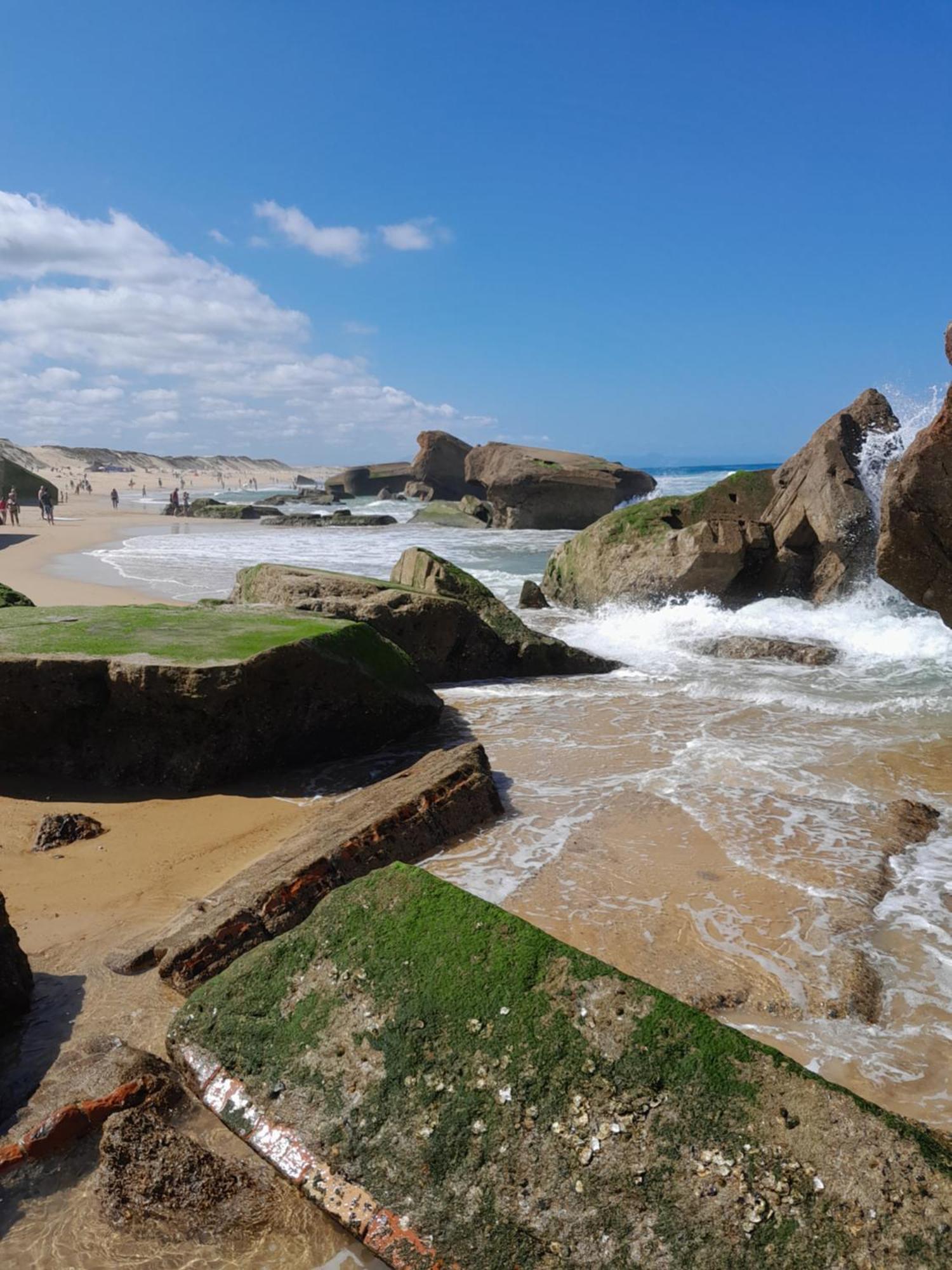 Joli 2 Pieces Sur Le Port Avec Piscine, Terrasse, Parking Lejlighed Capbreton Eksteriør billede